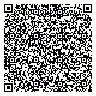 vCard 79222800355