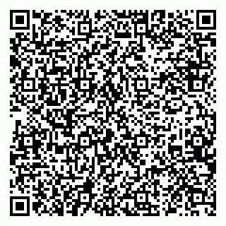 vCard 79222800382