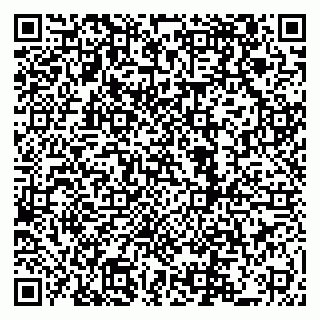 vCard 79222800389