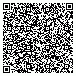 vCard 79222800390