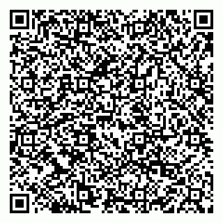 vCard 79222800391