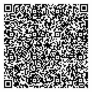 vCard 79223900011