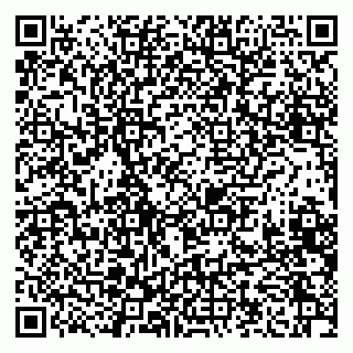 vCard 79223900032