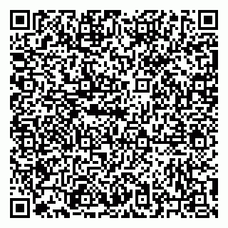 vCard 79223900100