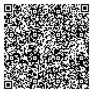 vCard 79223900129