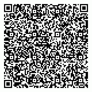 vCard 79223900201