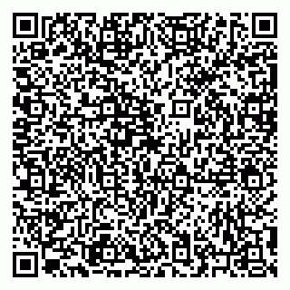 vCard 79223900218