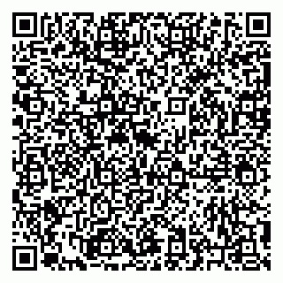 vCard 79223900311