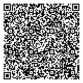 vCard 79225800138