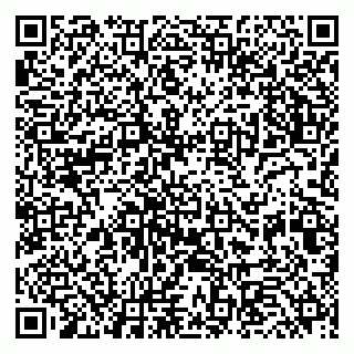 vCard 79225800313