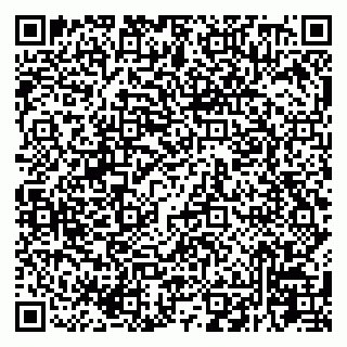 vCard 79225800381