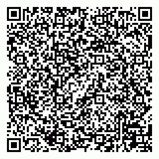 vCard 79225800389