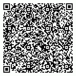vCard 79226002013