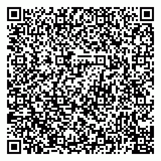 vCard 79226400119