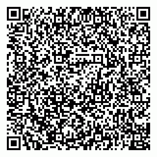 vCard 79226400221