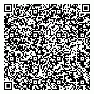 vCard 79226400239