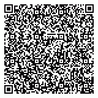 vCard 79226400313
