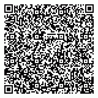 vCard 79226400317