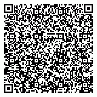 vCard 79226400319