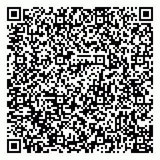 vCard 79226400371