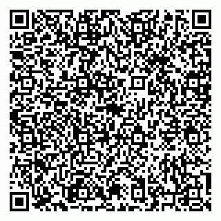 vCard 79226661295
