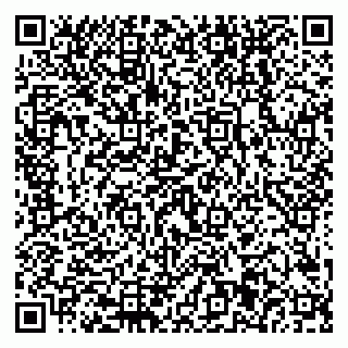 vCard 79228001330