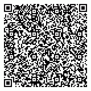 vCard 79228002668