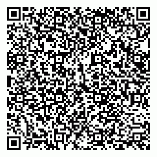 vCard 79228999721
