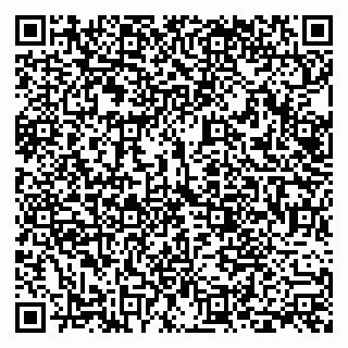 vCard 79228999749