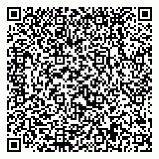 vCard 79228999773