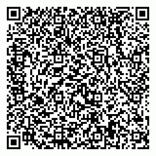 vCard 79228999785