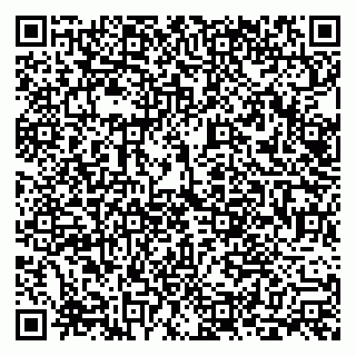 vCard 79228999821