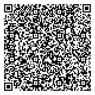 vCard 79228999863