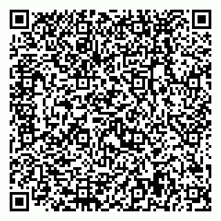 vCard 79228999872
