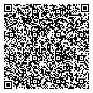 vCard 79228999910
