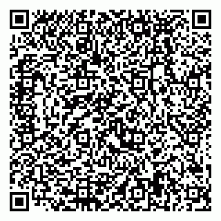vCard 79228999915