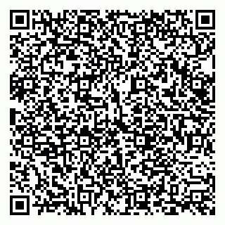 vCard 79228999916