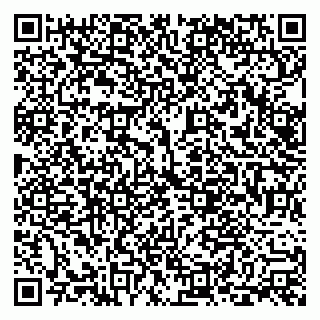 vCard 79228999919