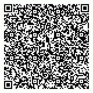 vCard 79228999923