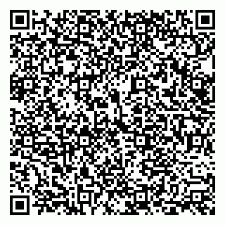 vCard 79228999959
