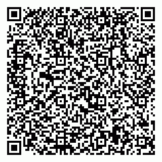 vCard 79228999990
