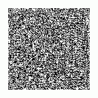 vCard 79270131338