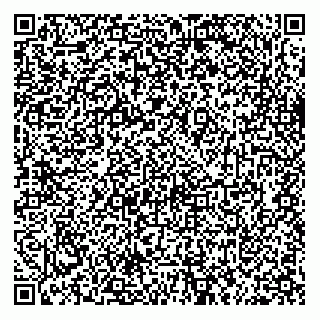 vCard 79272683239