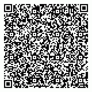 vCard 79282260011