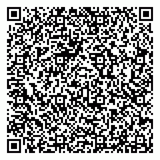 vCard 79294014001