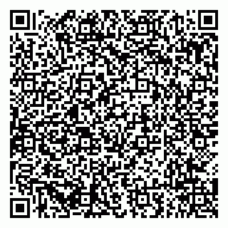 vCard 79294014311