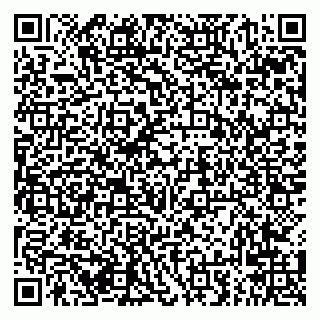 vCard 79294020008