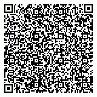 vCard 79294020177