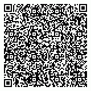 vCard 79294020303