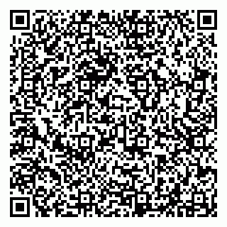 vCard 79294020331